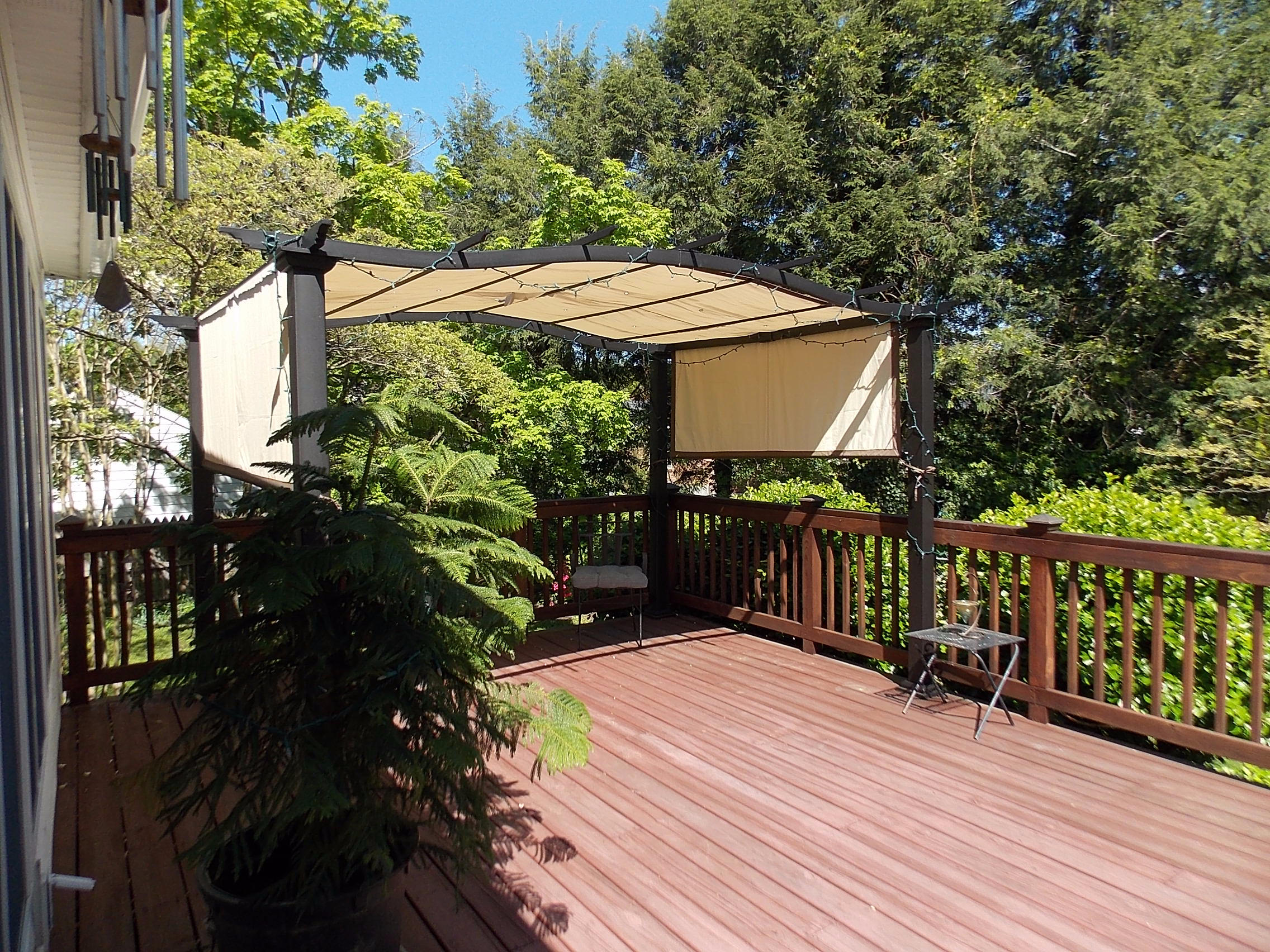 2216 Blenheim Road Southwest Roanoke, VA 24015 - Photo 13 of 23 Canopy Deck