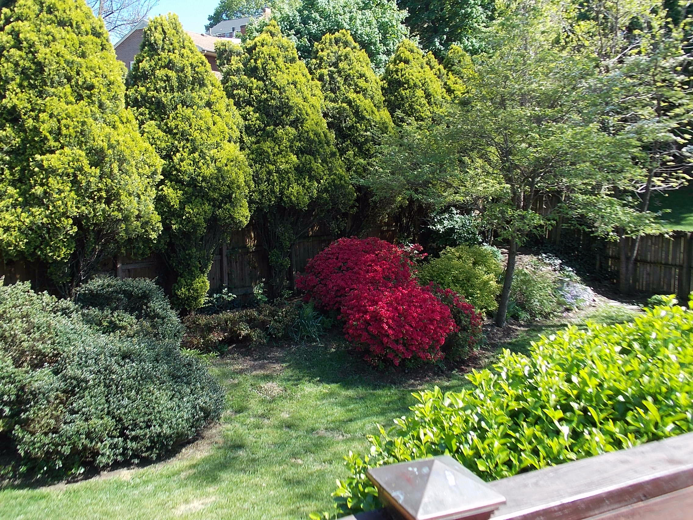 2216 Blenheim Road Southwest Roanoke, VA 24015 - Photo 15 of 23 Landscaped Yard