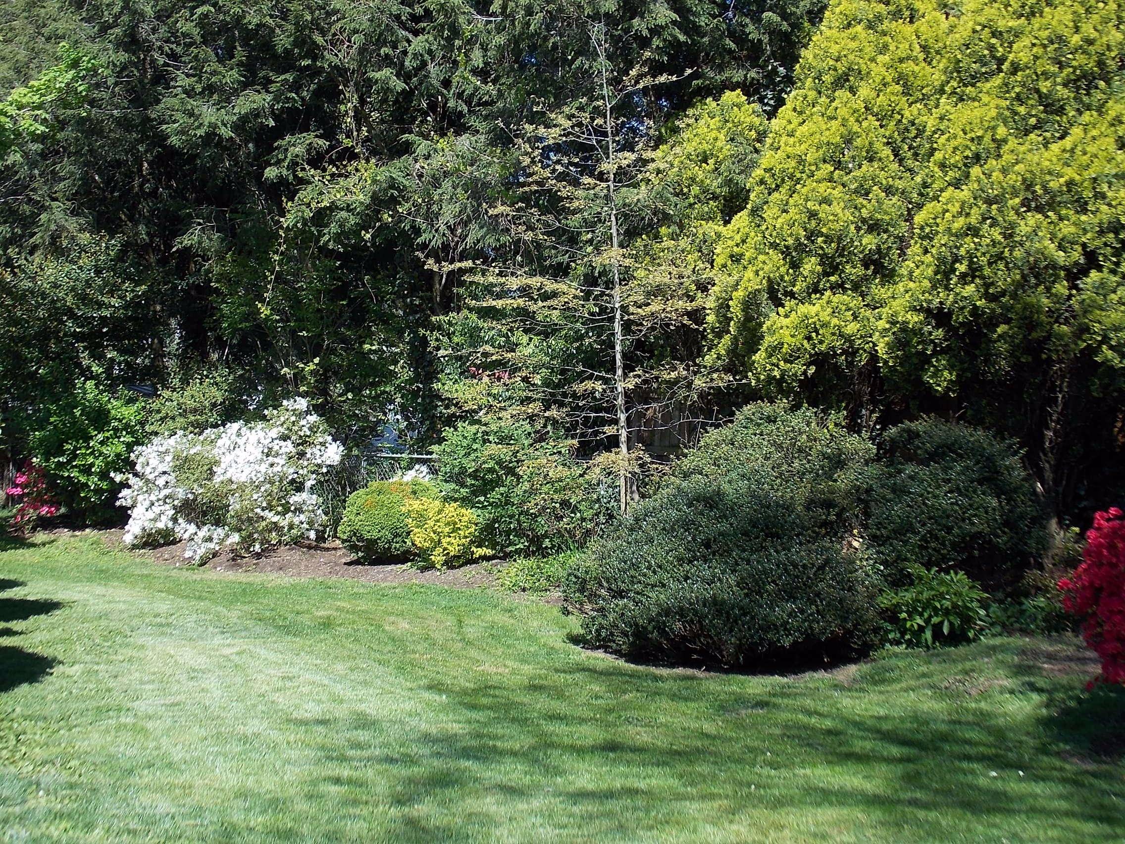 2216 Blenheim Road Southwest Roanoke, VA 24015 - Photo 16 of 23 Landscaped Yard