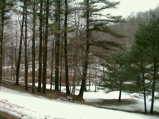 238 Route 366 Apollo, PA 15613 - Photo 8 of 8 Gallery Image 8