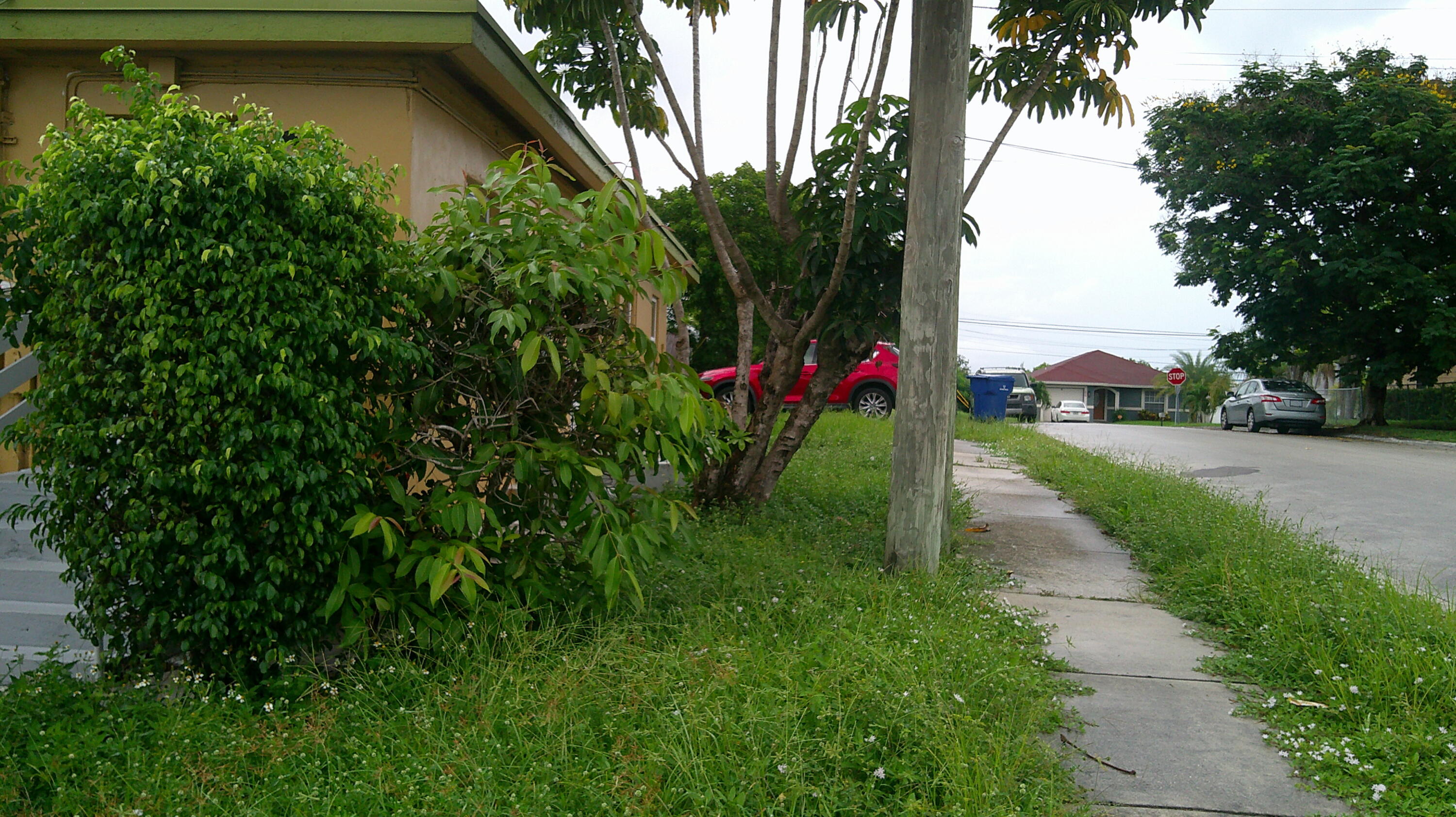 900 West 9th Street Riviera Beach, FL 33404 - Photo 5 of 29 DSCF0012