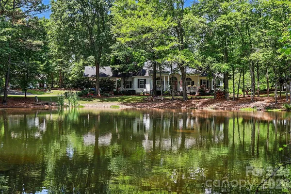 a lake view with large trees