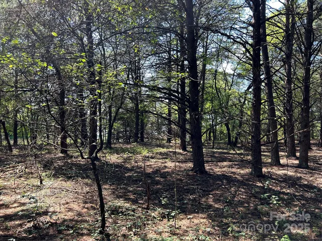 $85,000 | 0 Gilbert Road, Vale, NC 28168