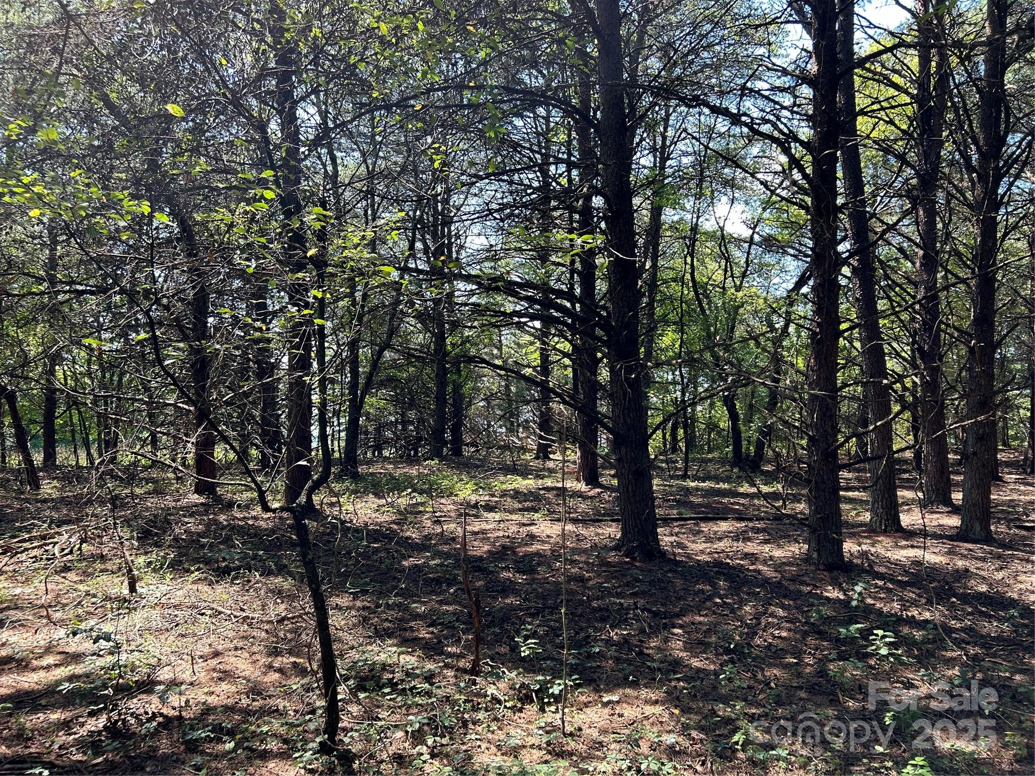 0 Gilbert Road Vale, NC 28168 - Photo 5 of 9