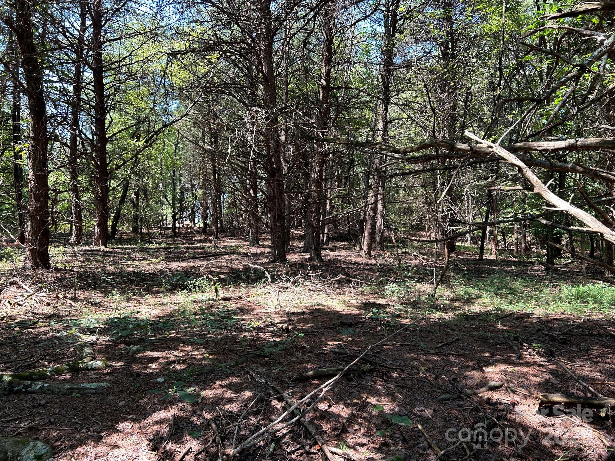 0 Gilbert Road Vale, NC 28168 - Photo 6 of 9