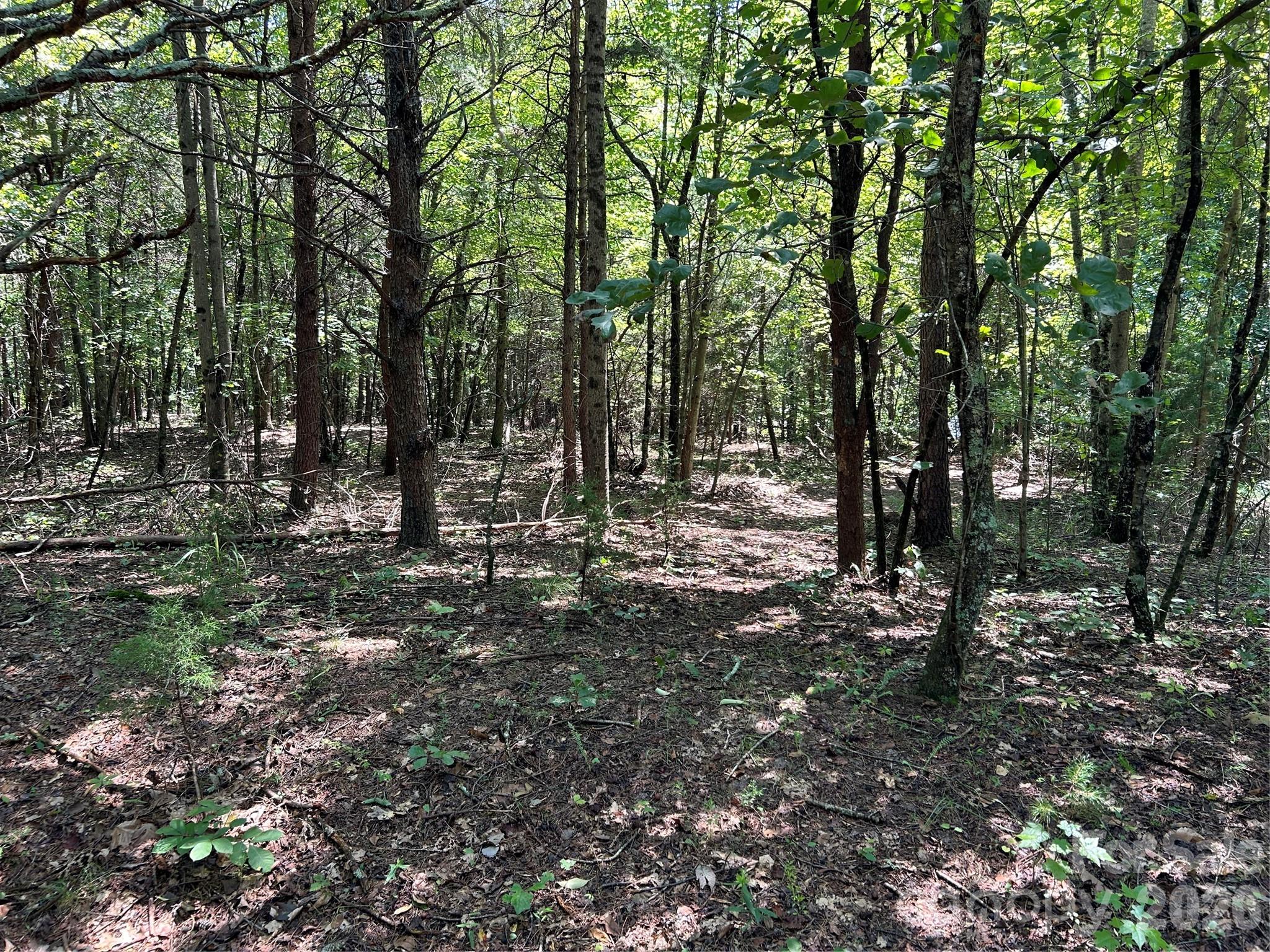 0 Gilbert Road Vale, NC 28168 - Photo 7 of 8 a view of outdoor space with lots of trees