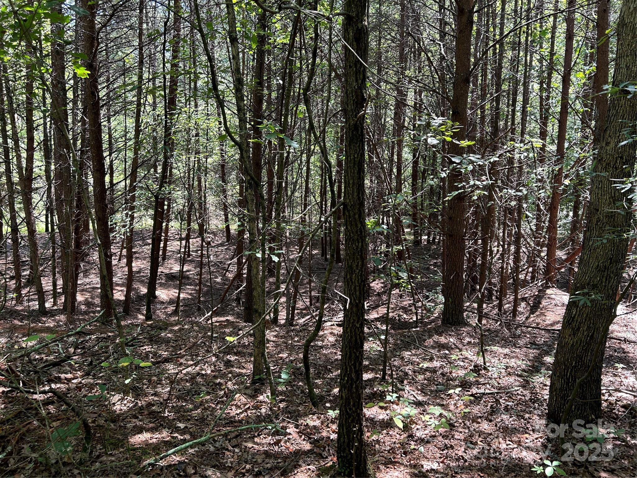 0 Gilbert Road Vale, NC 28168 - Photo 9 of 9