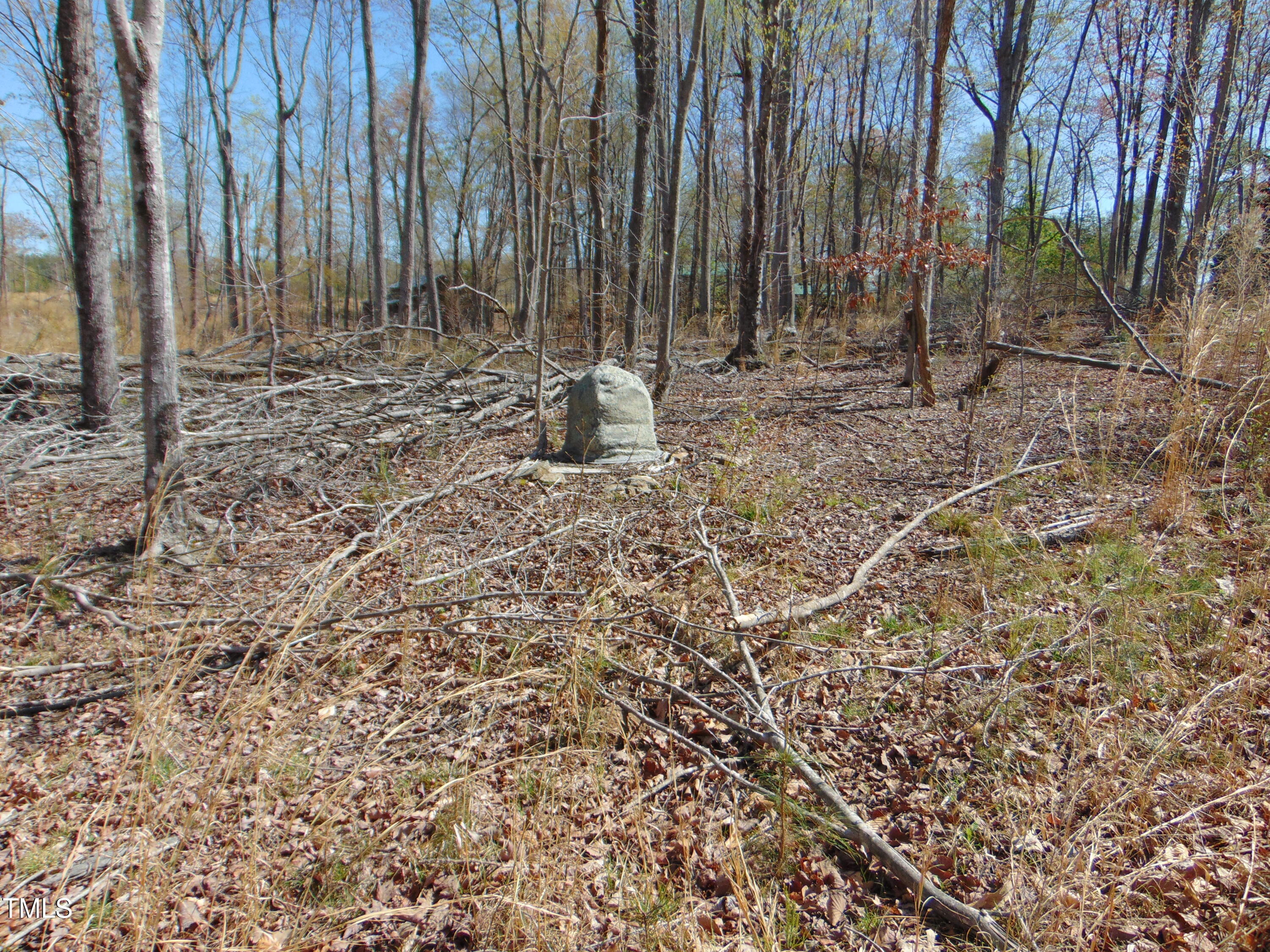 2391 Allison Road Pelham, NC 27311 - Photo 70 of 70 DSC01101