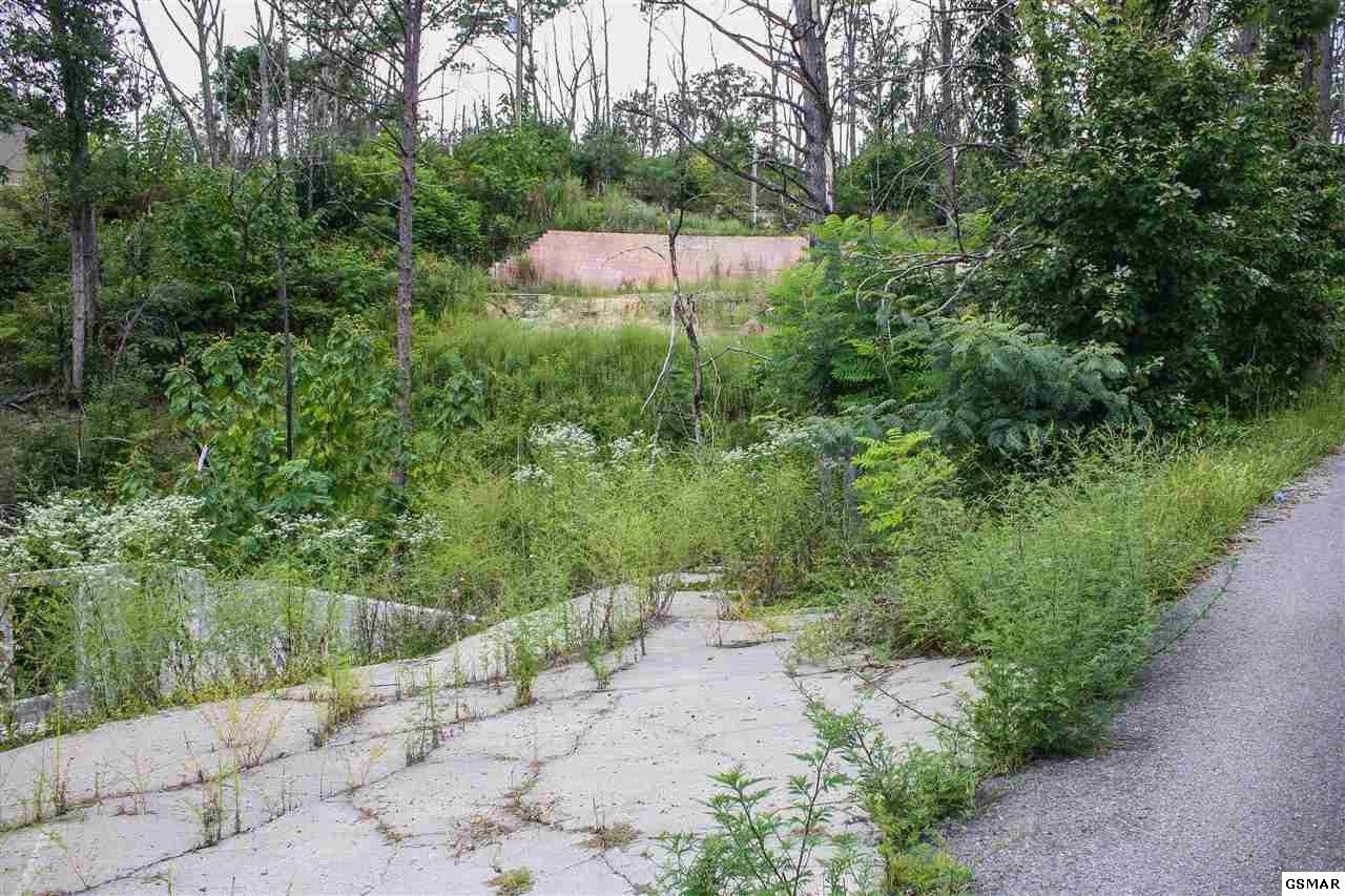 24 Fox View Lane Sevierville, TN 37876 - Photo 3 of 5
