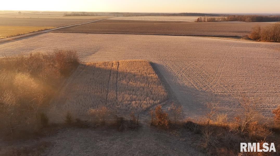 0 East 525th Street Colchester, IL 62326 - Photo 11 of 23