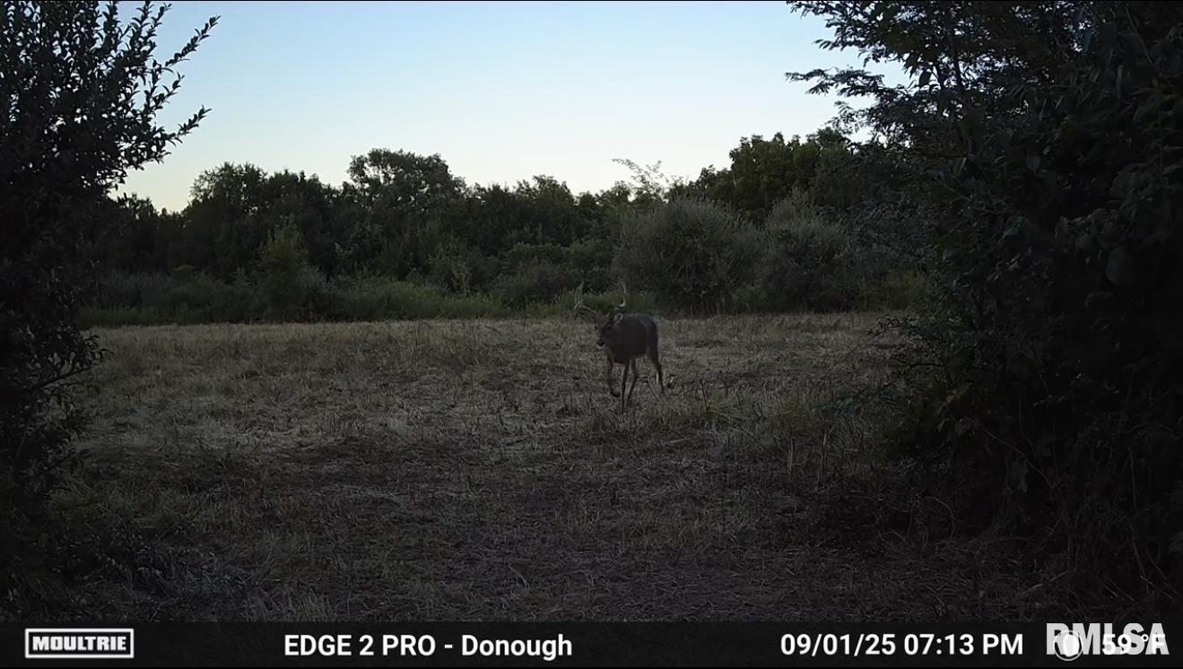 0 East 525th Street Colchester, IL 62326 - Photo 19 of 23