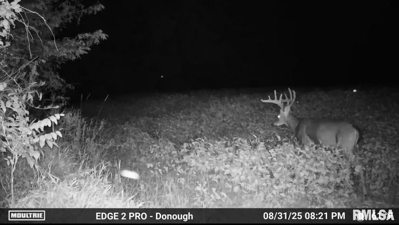 0 East 525th Street Colchester, IL 62326 - Photo 21 of 23