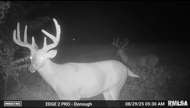 $260,000 | 0 East 525th Street, Colchester, IL 62326