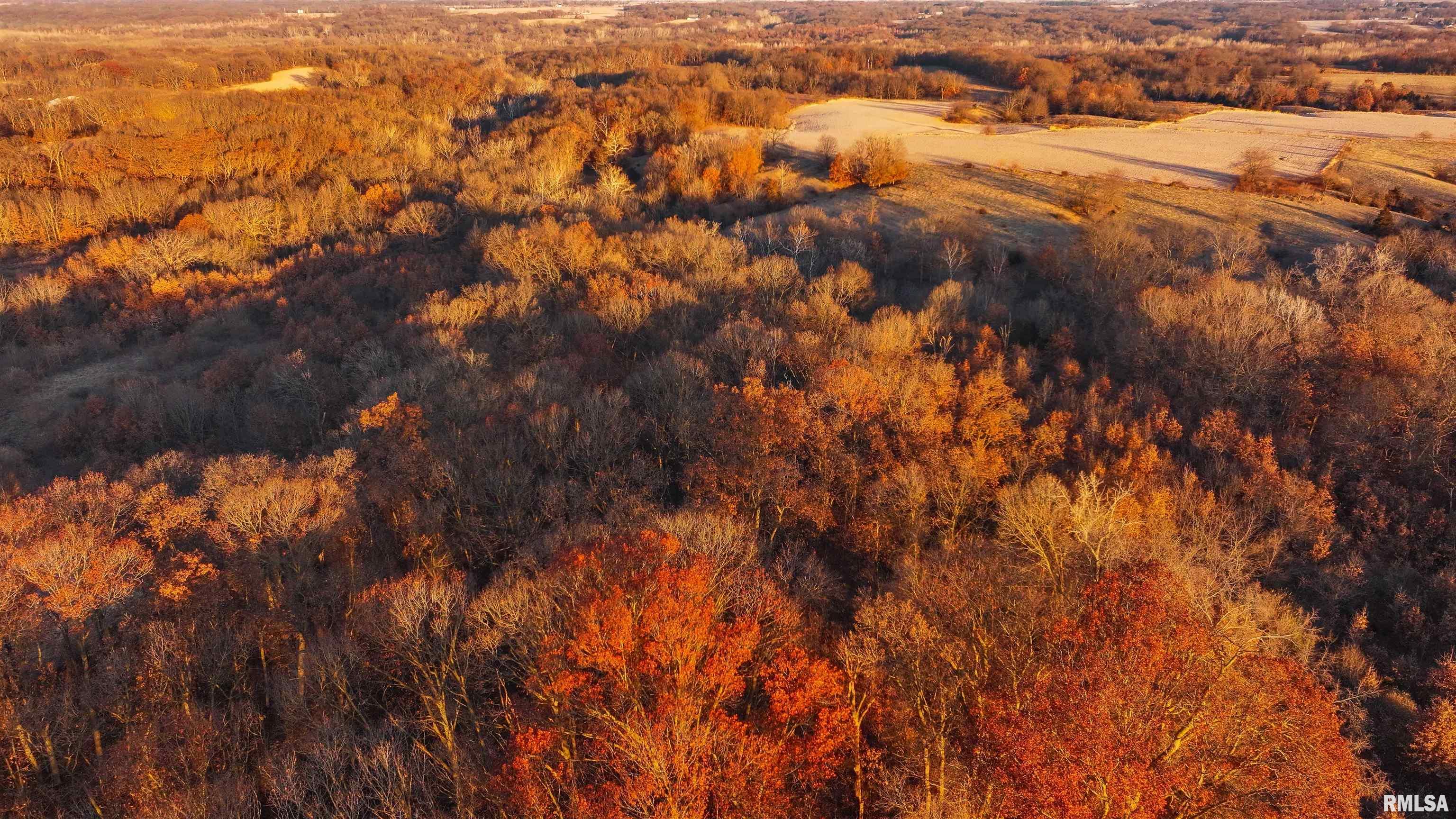 0 East 525th Street Colchester, IL 62326 - Photo 7 of 23