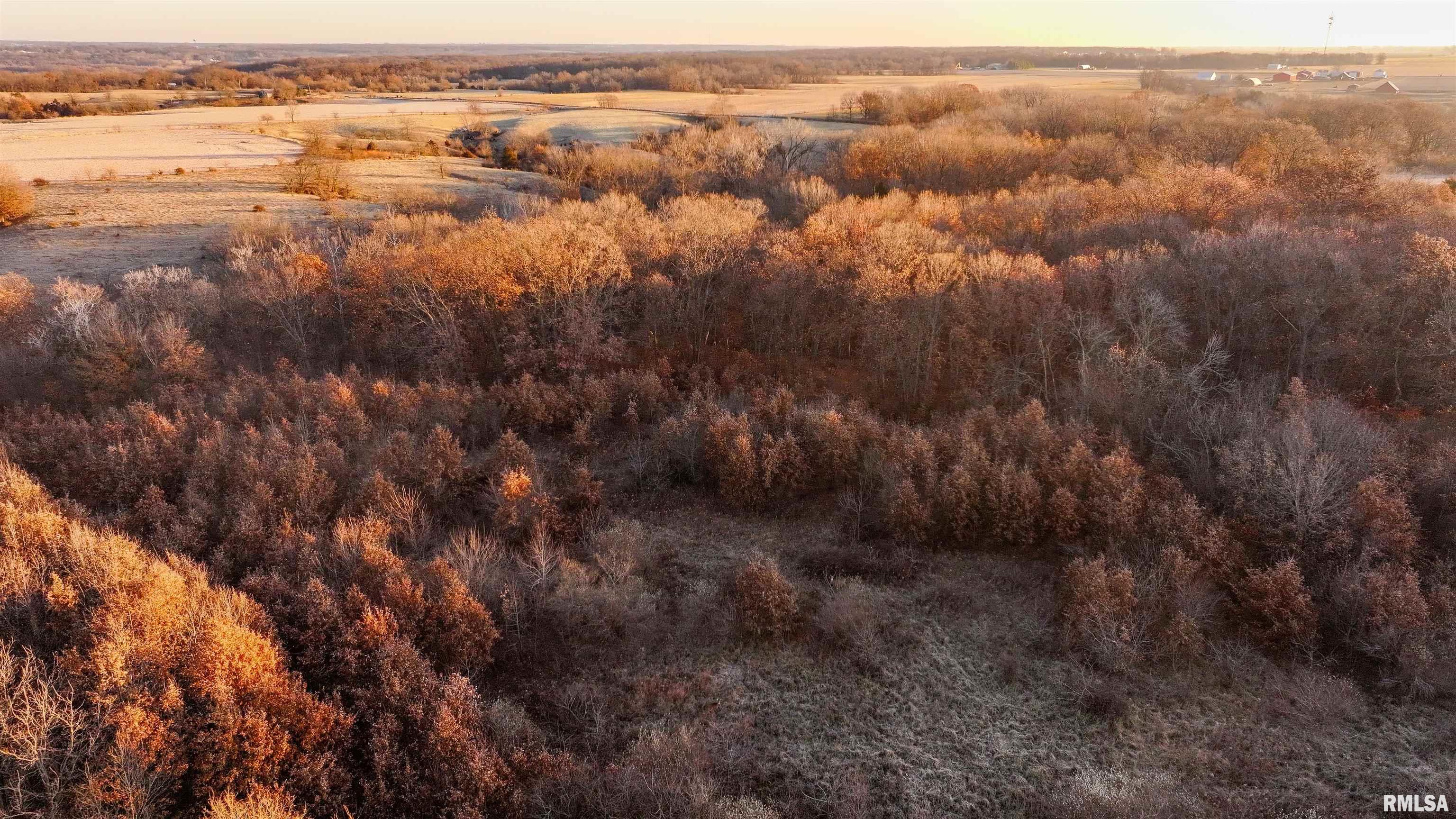 0 East 525th Street Colchester, IL 62326 - Photo 9 of 23