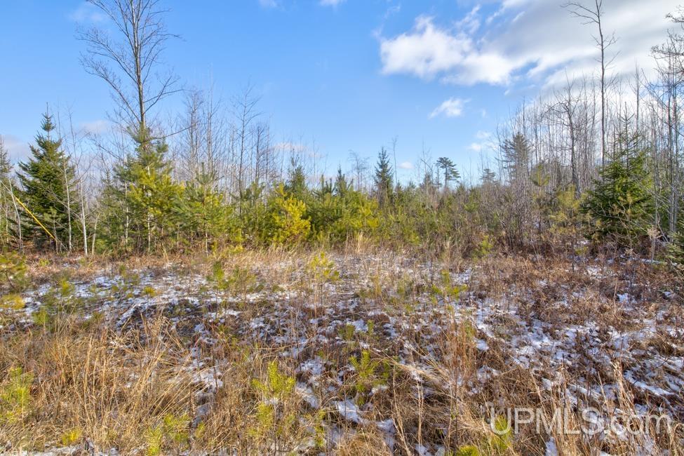 Jimtown Road Stephenson, MI 49887 - Photo 6 of 16