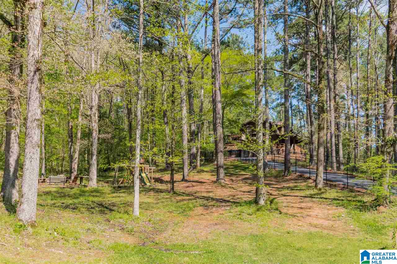 401 Ricetown Road Hayden, AL 35079 - Photo 38 of 50