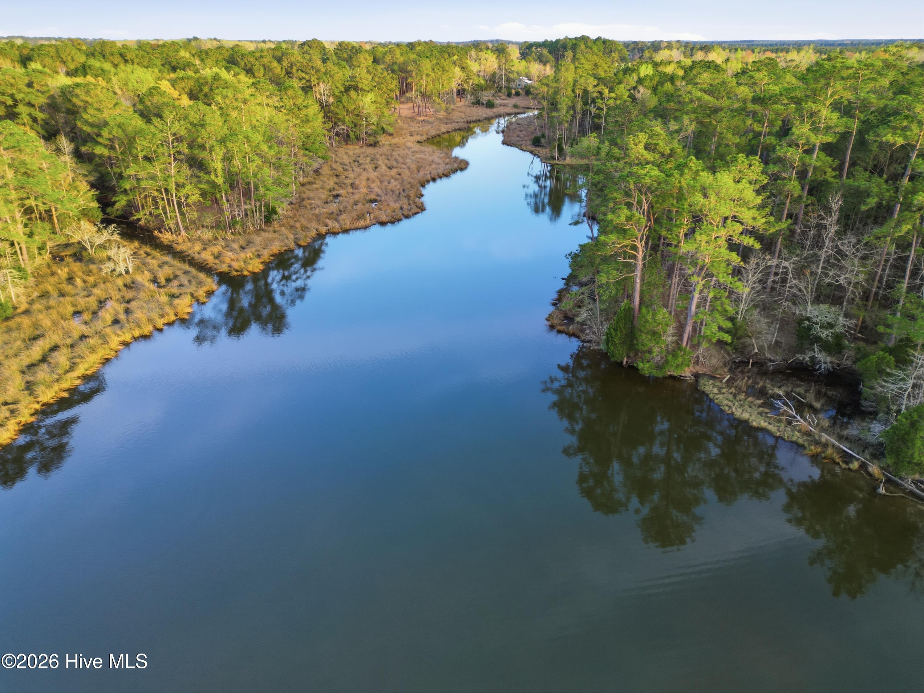 0 Florence Road Merritt, NC 28556 - Photo 19 of 31 20_dji_0037