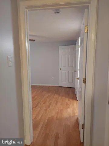 a view of a garden with a tree