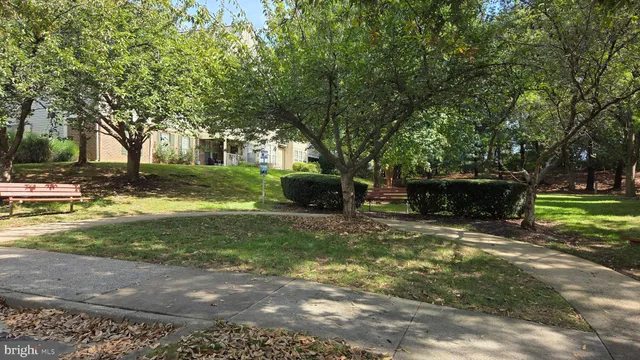 a view of a tree with yard