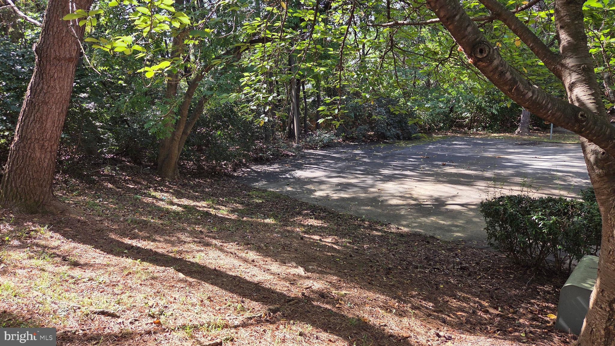 13107 Briarcliff Terrace, Unit 2203 Germantown, MD 20874 - Photo 52 of 53 a view of backyard with green space