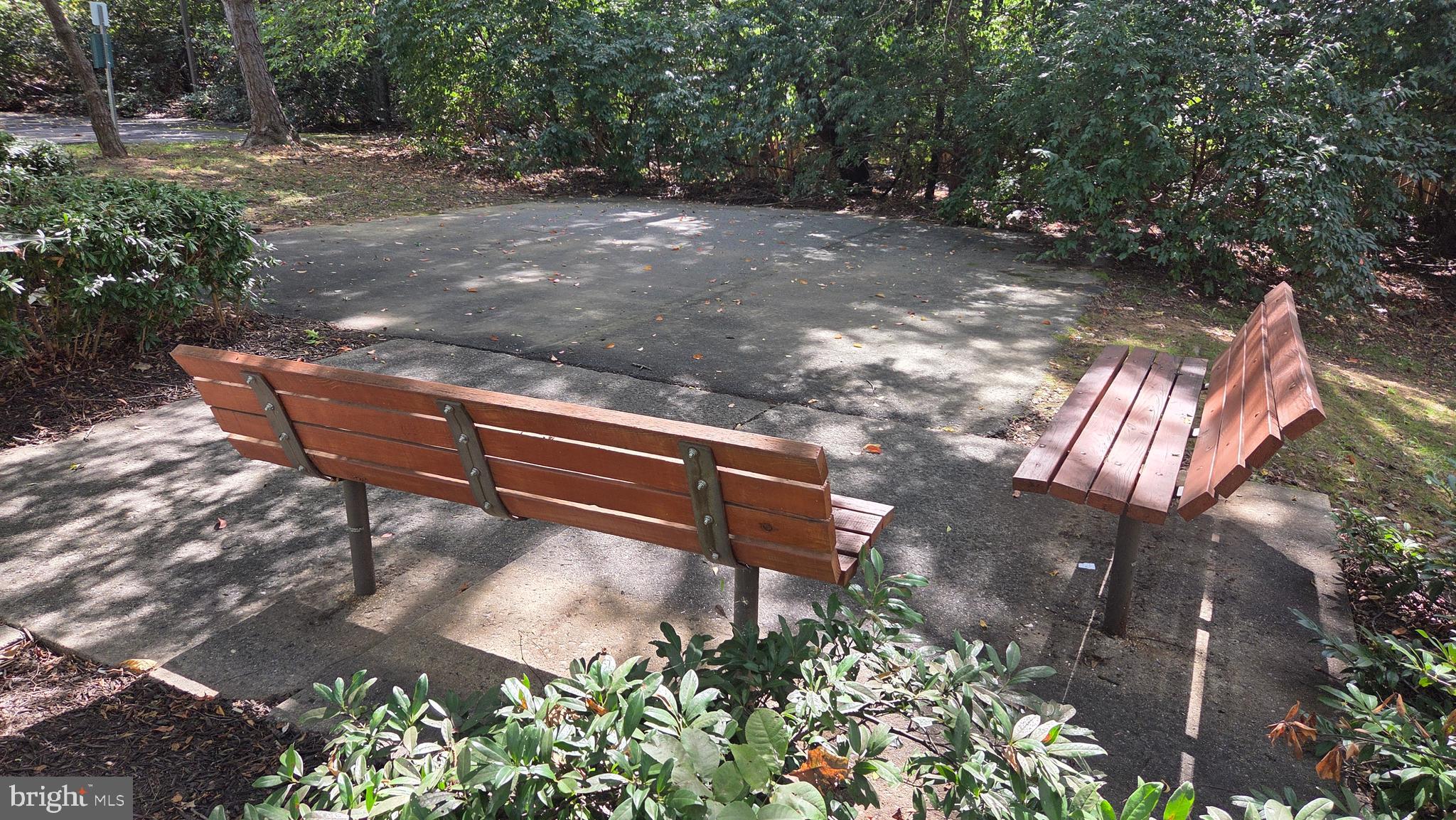 13107 Briarcliff Terrace, Unit 2203 Germantown, MD 20874 - Photo 53 of 53 a view of a tree with yard