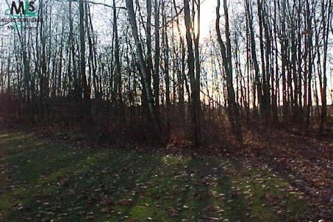 11593 South Rynn Emmett, MI 48022 - Photo 3 of 9 111950-2.JPG