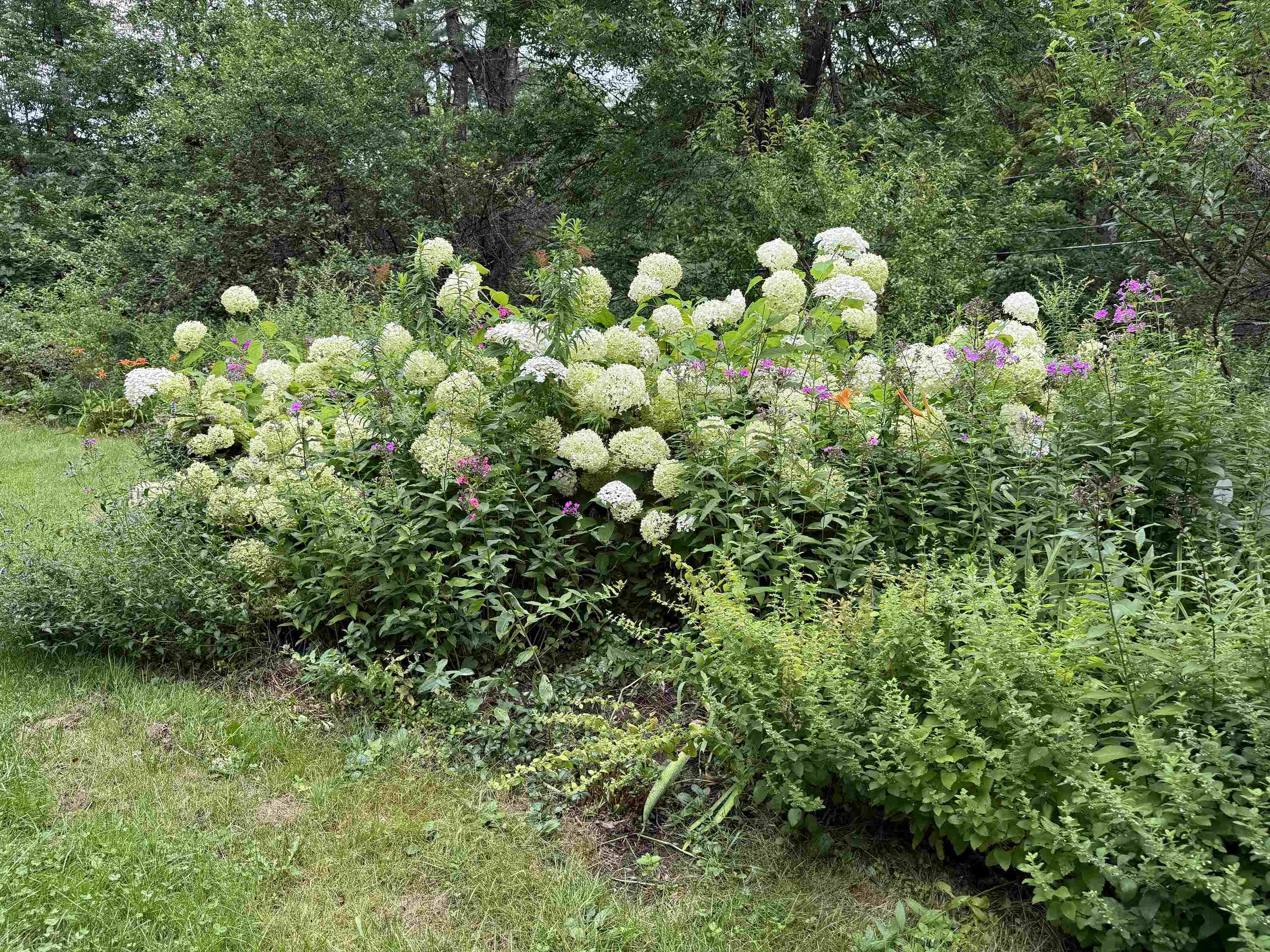 313 Dover Road Newfane, VT 05351 - Photo 7 of 25 Gallery Image 7