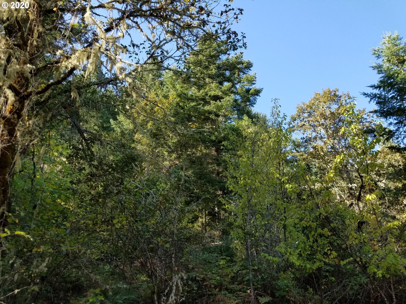 0 North Side Road, Unit 1 Sutherlin, OR 97479 - Photo 12 of 22