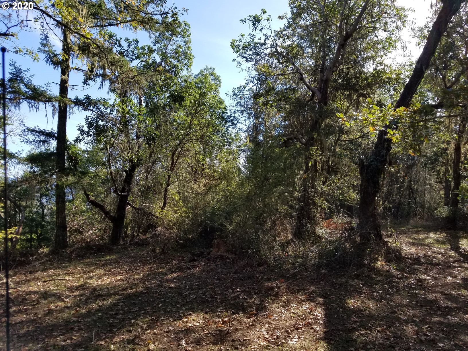 0 North Side Road, Unit 1 Sutherlin, OR 97479 - Photo 14 of 22