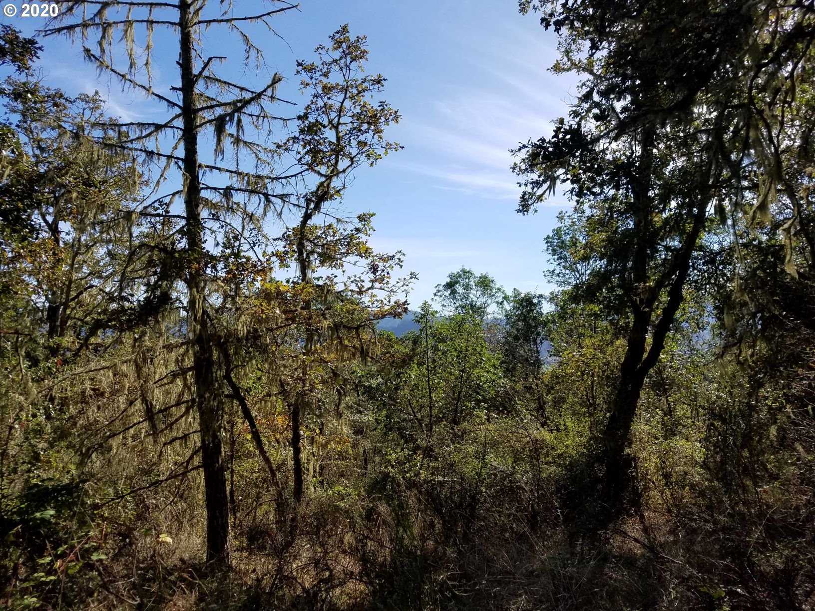 0 North Side Road, Unit 1 Sutherlin, OR 97479 - Photo 17 of 22