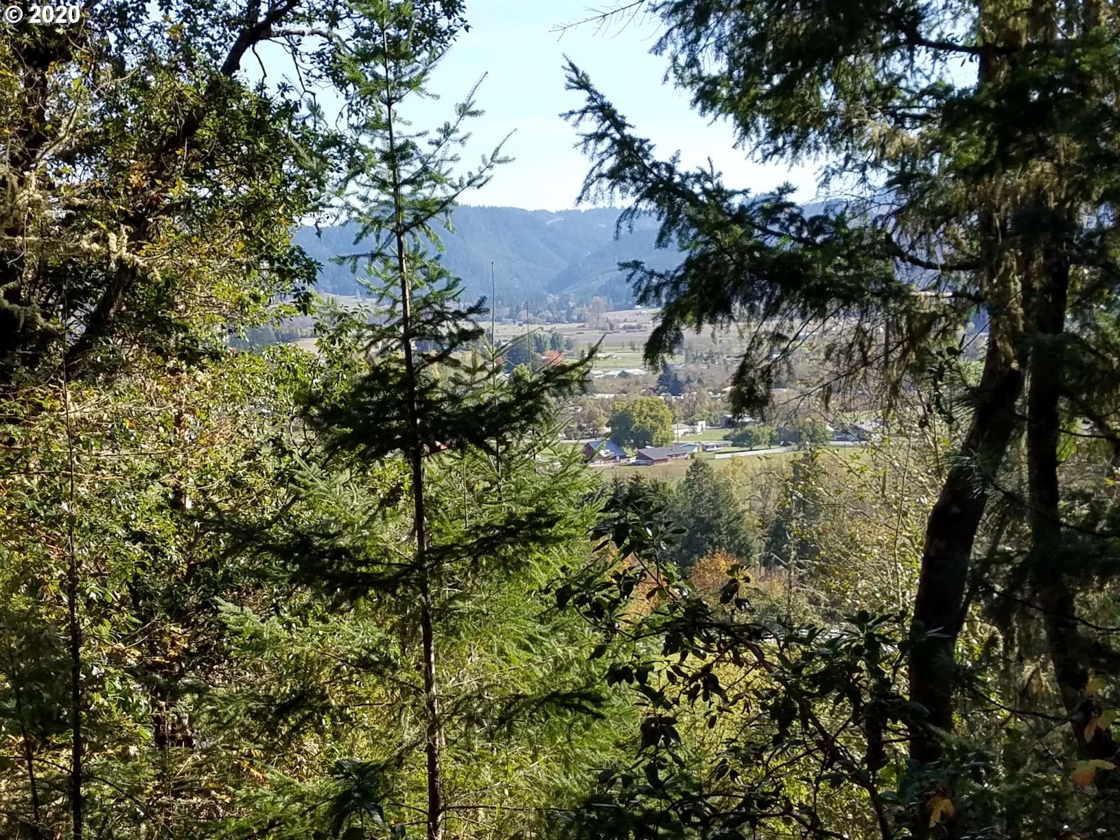 0 North Side Road, Unit 1 Sutherlin, OR 97479 - Photo 19 of 22