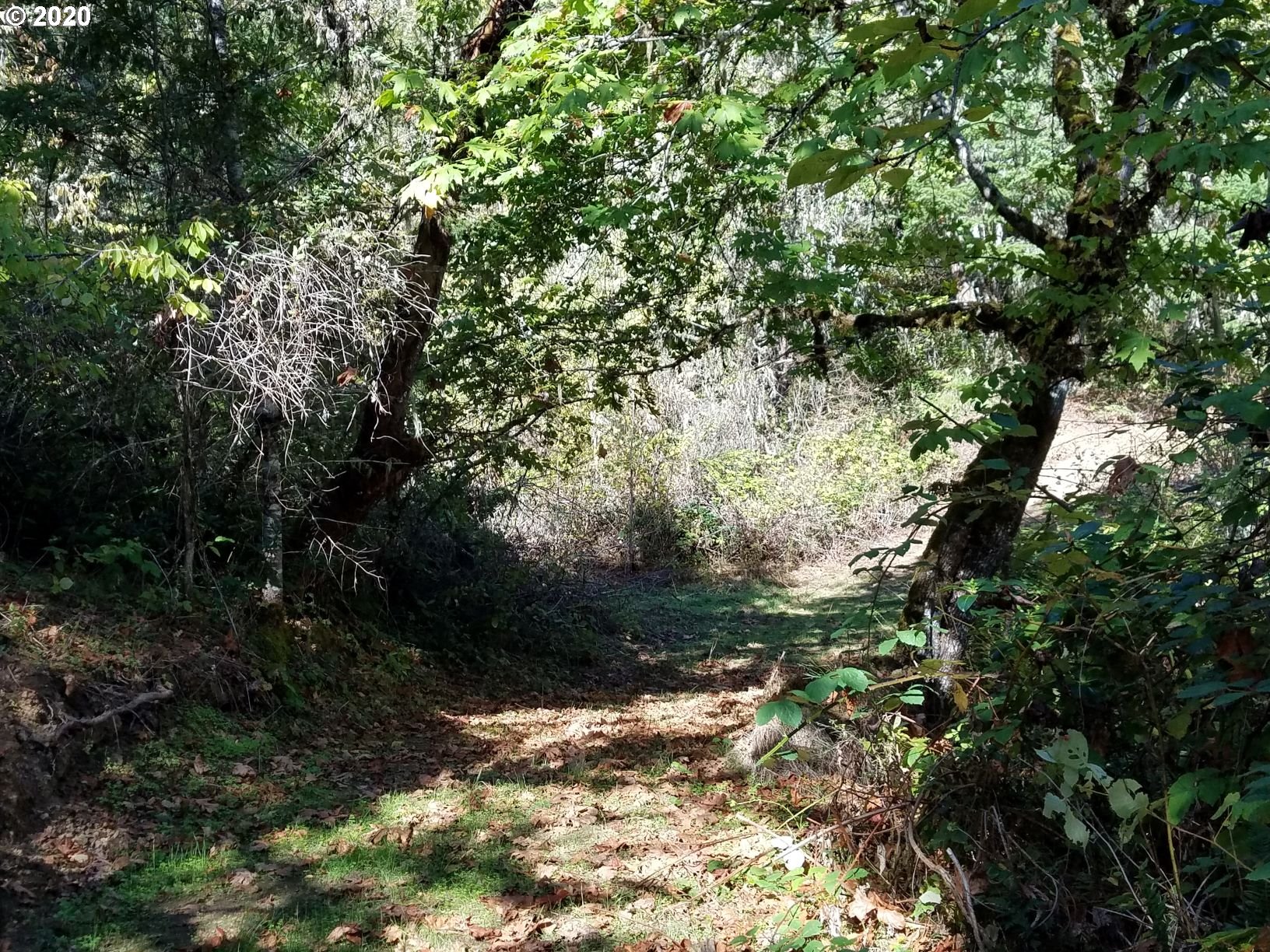 0 North Side Road, Unit 1 Sutherlin, OR 97479 - Photo 10 of 22