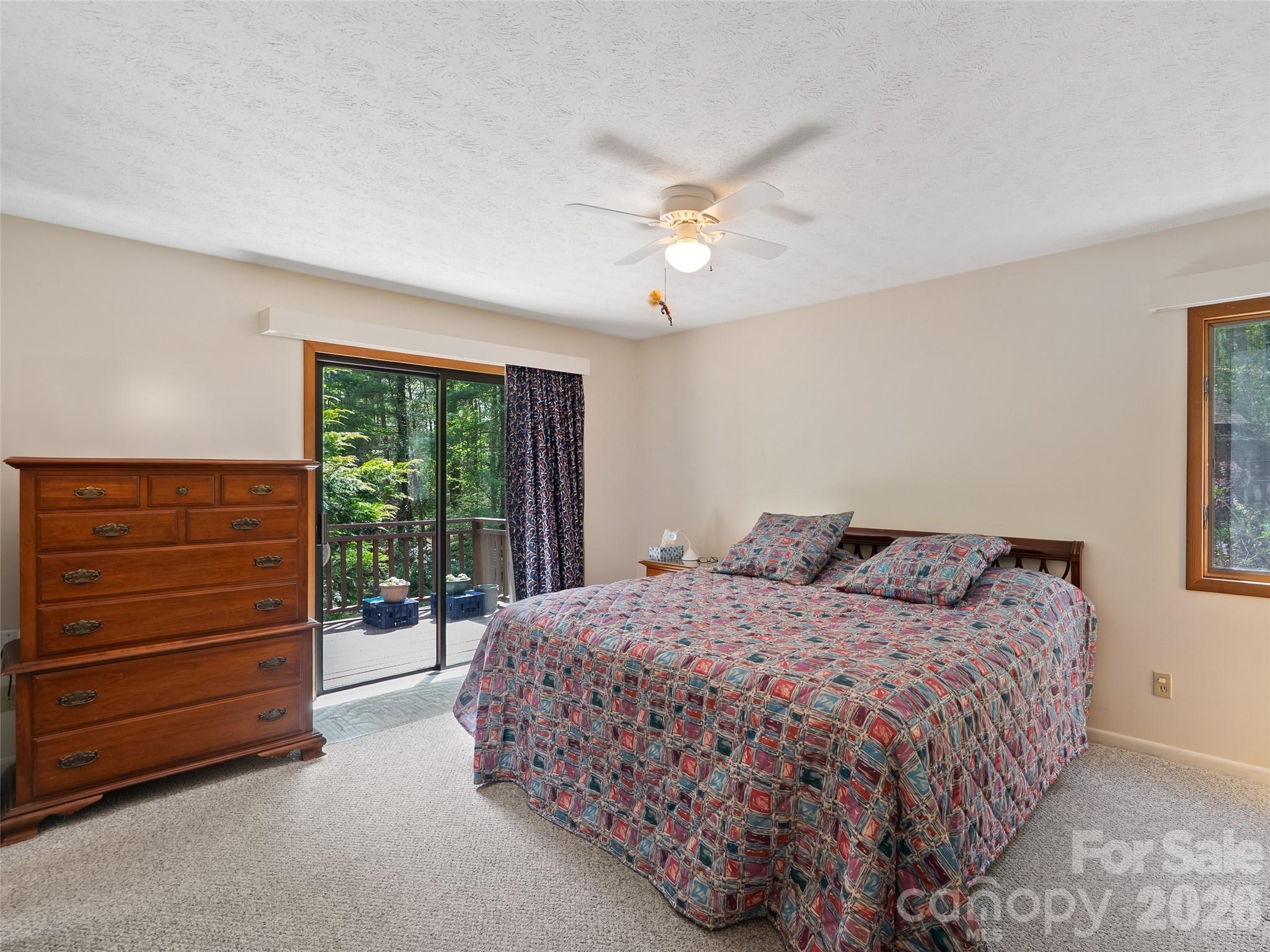 120 Carter Cove Road Asheville, NC 28804 - Photo 18 of 47