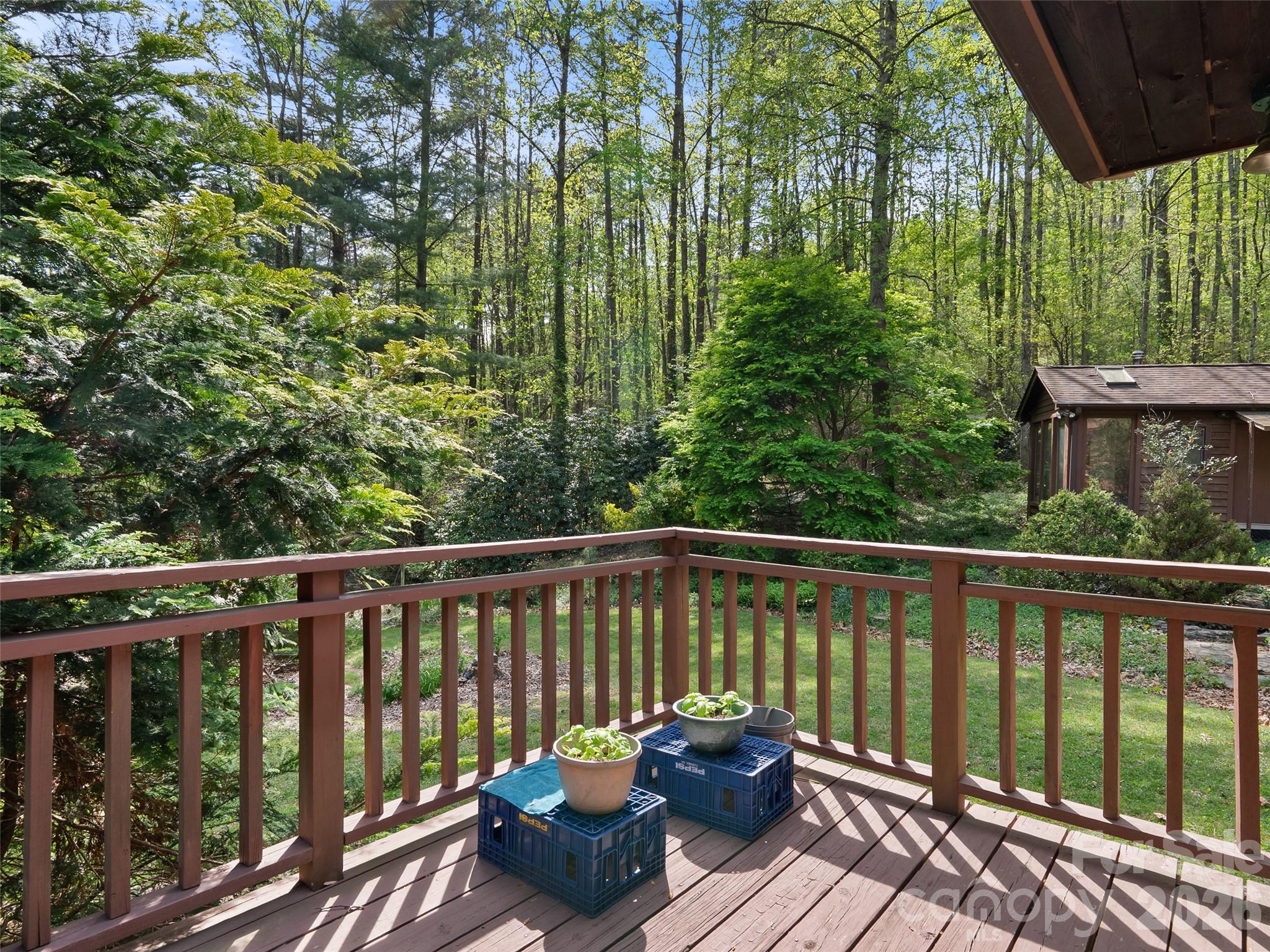 120 Carter Cove Road Asheville, NC 28804 - Photo 19 of 47