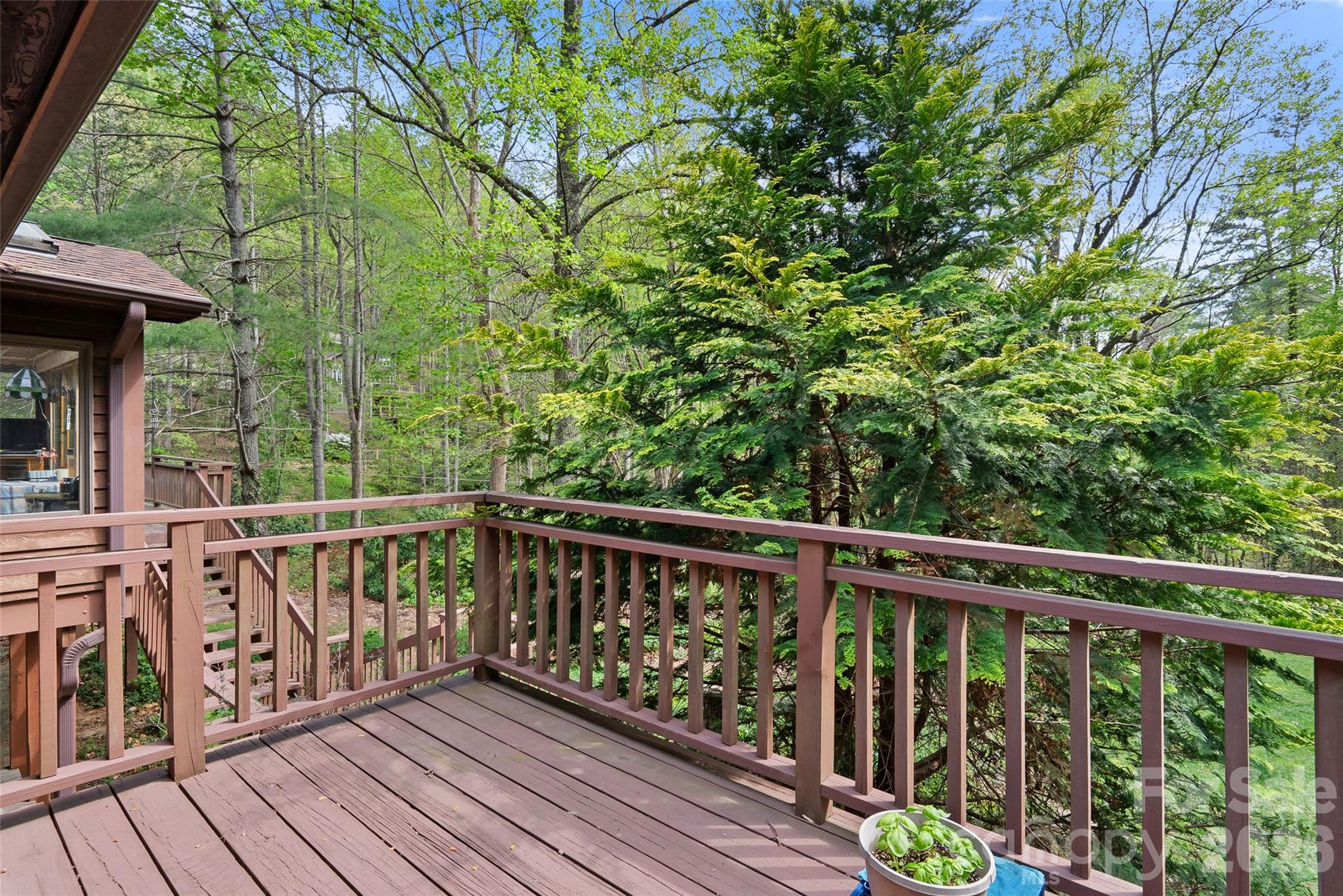 120 Carter Cove Road Asheville, NC 28804 - Photo 20 of 47