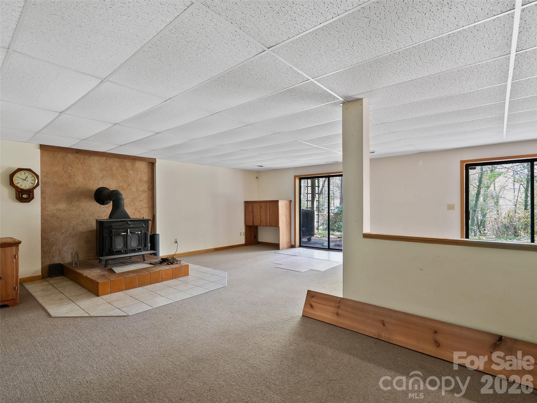 120 Carter Cove Road Asheville, NC 28804 - Photo 26 of 47