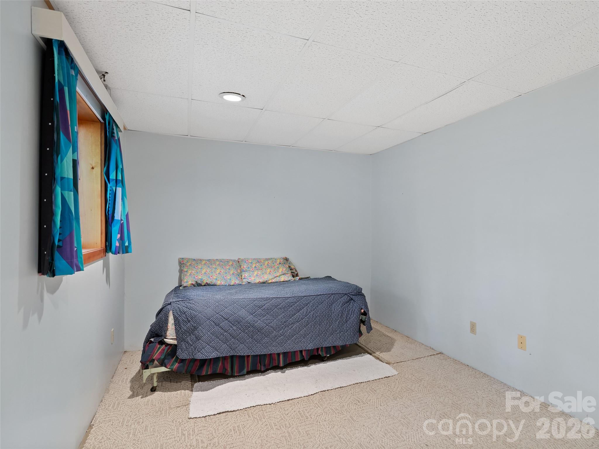 120 Carter Cove Road Asheville, NC 28804 - Photo 29 of 47