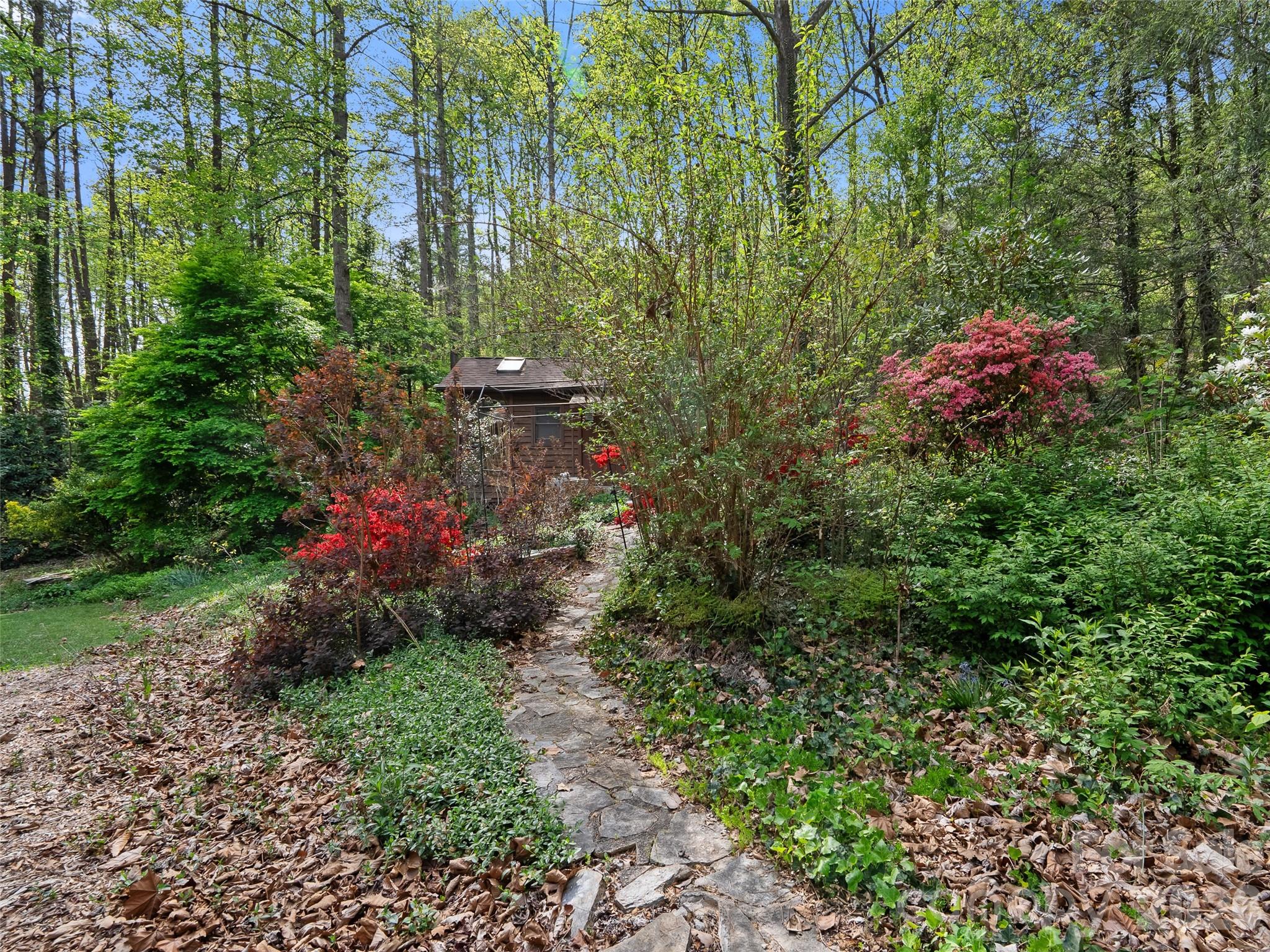 120 Carter Cove Road Asheville, NC 28804 - Photo 3 of 47