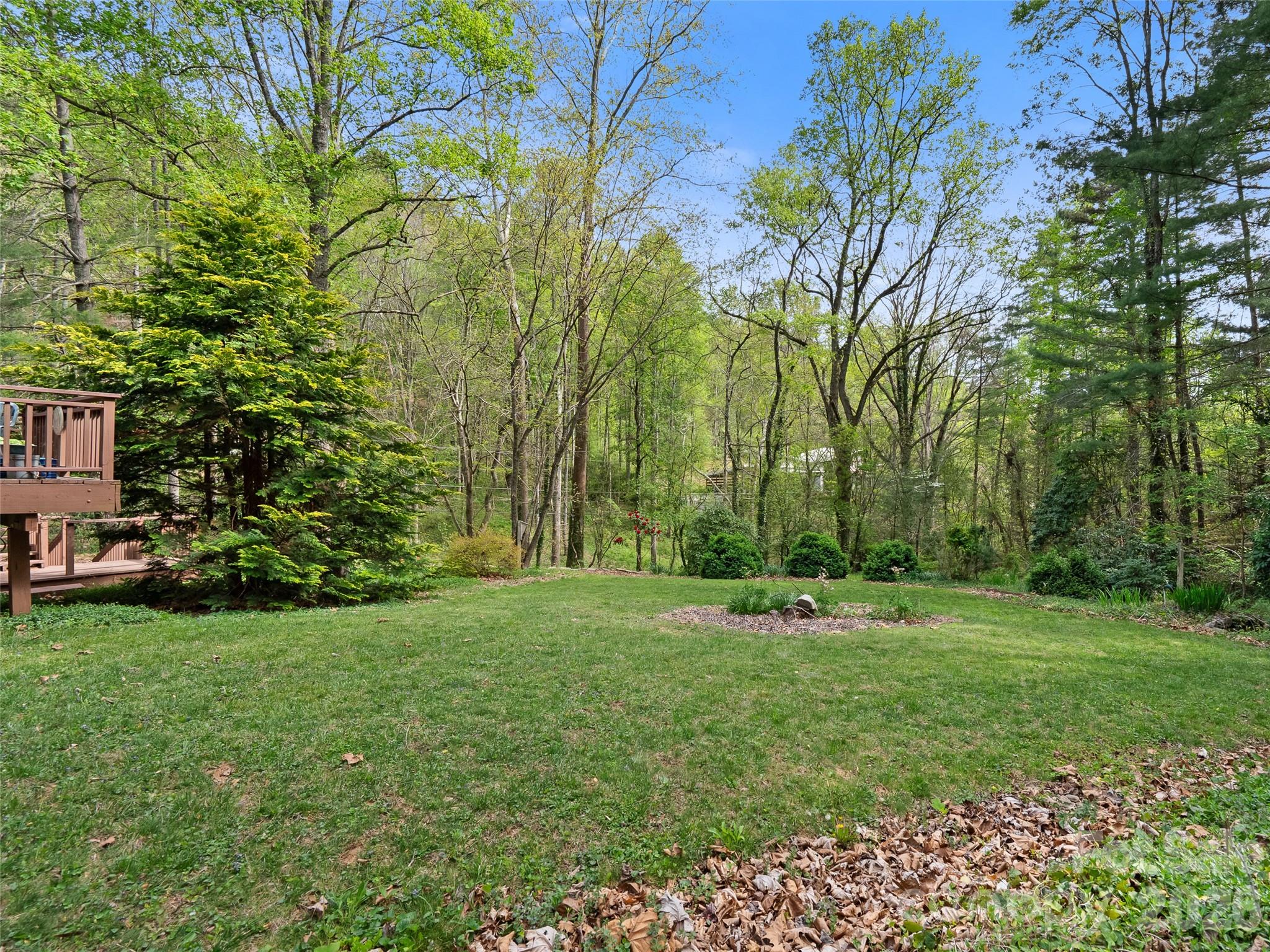 120 Carter Cove Road Asheville, NC 28804 - Photo 39 of 47