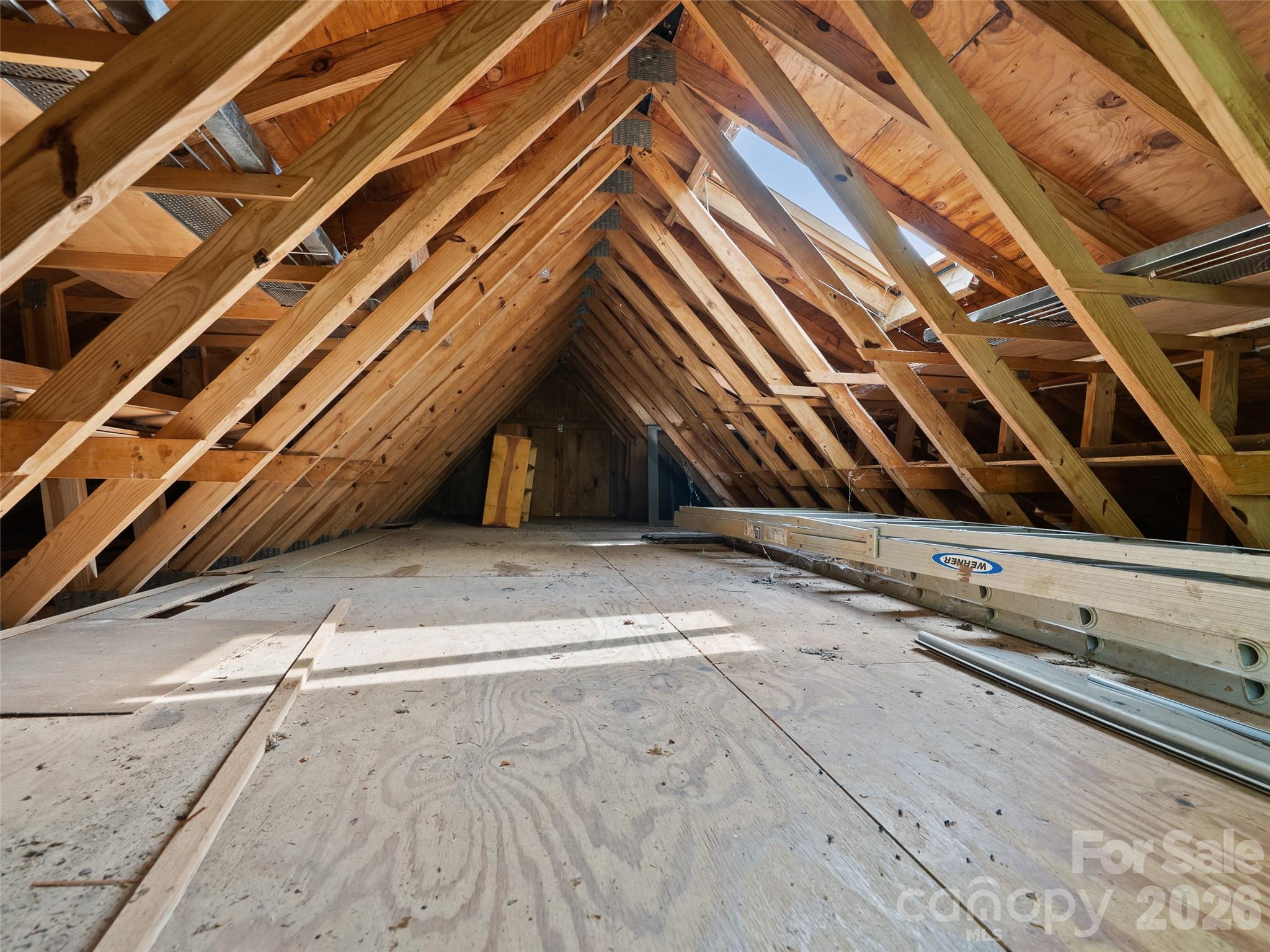 120 Carter Cove Road Asheville, NC 28804 - Photo 42 of 47