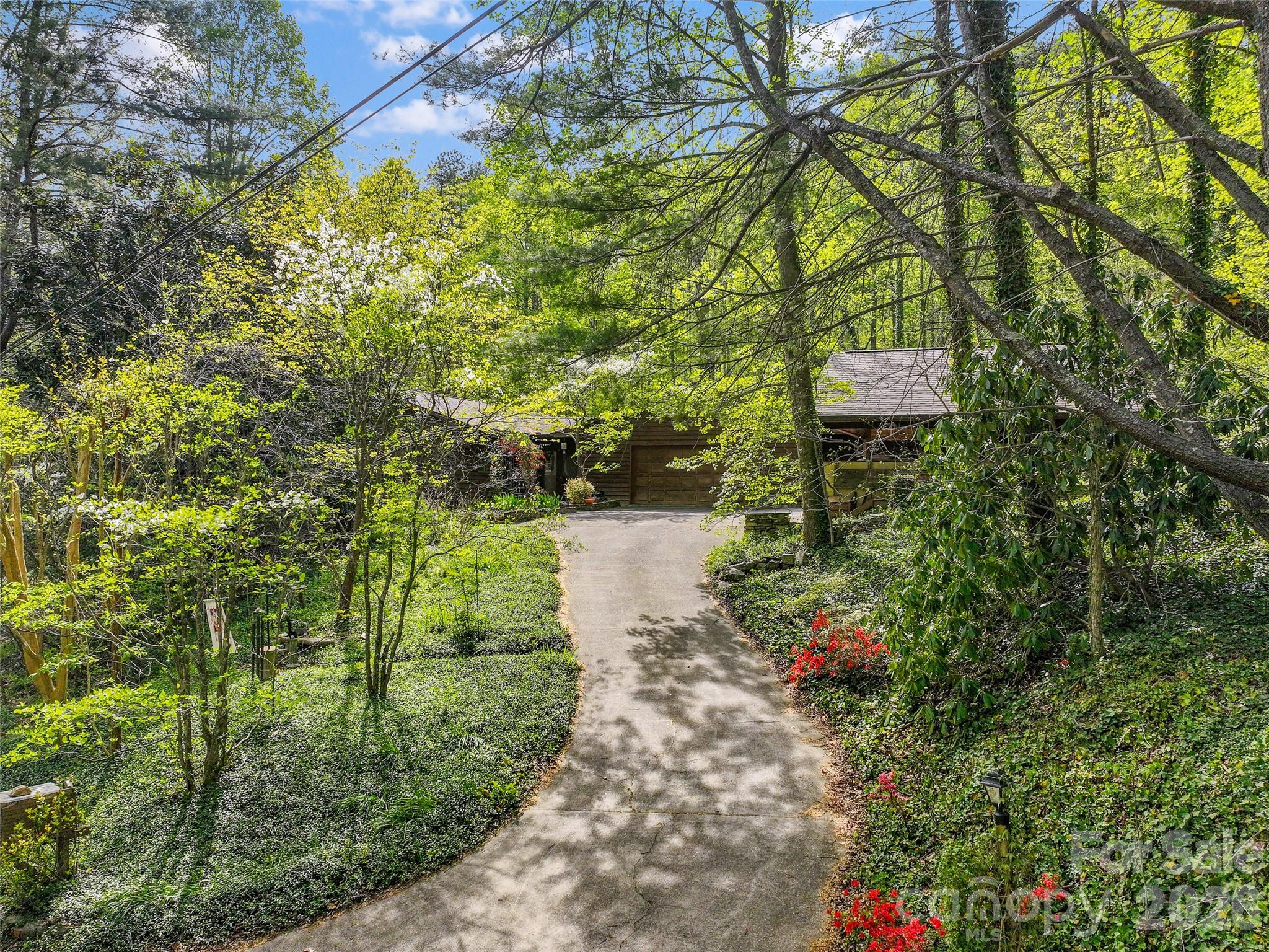 120 Carter Cove Road Asheville, NC 28804 - Photo 43 of 47