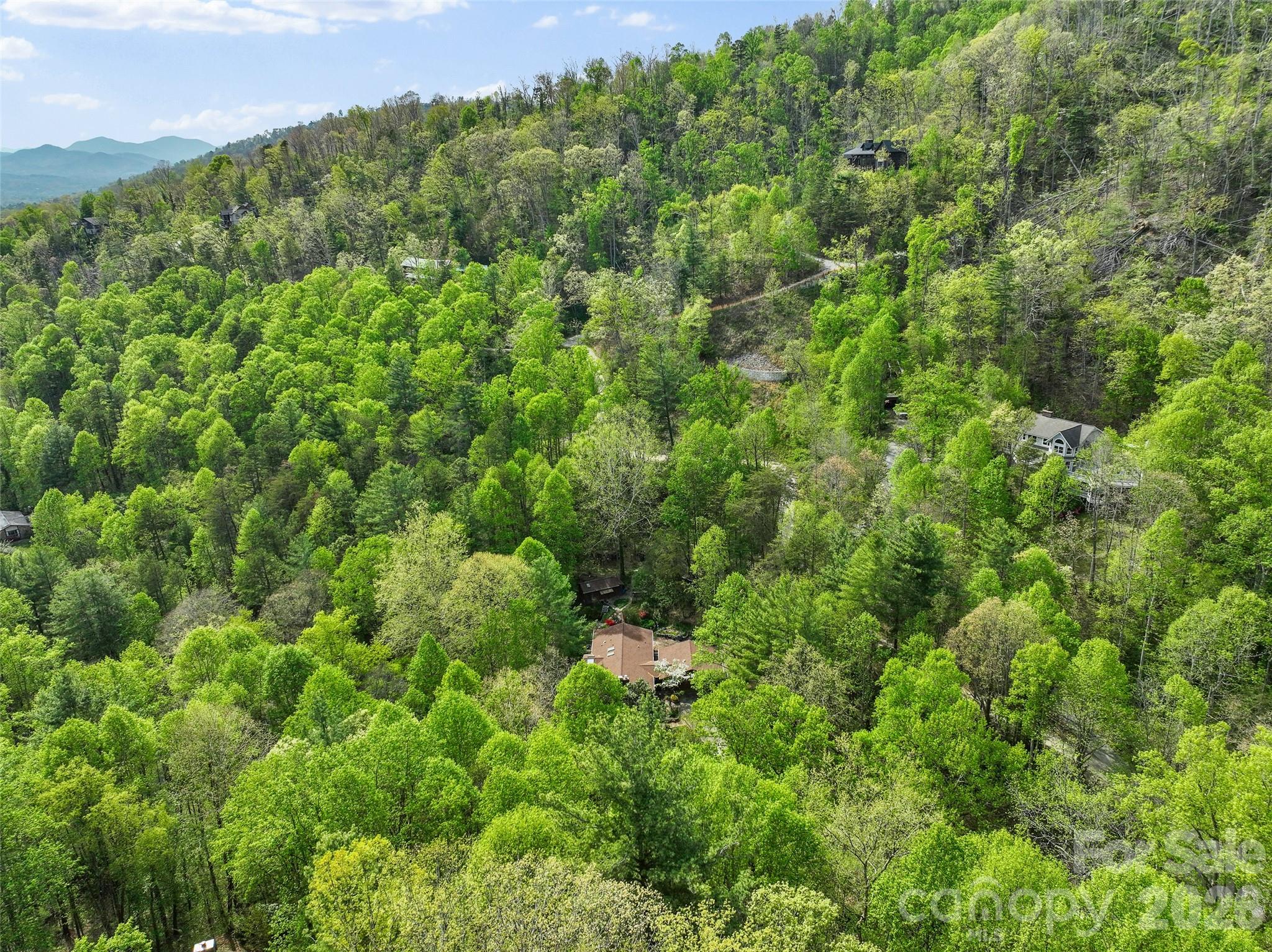 120 Carter Cove Road Asheville, NC 28804 - Photo 45 of 47