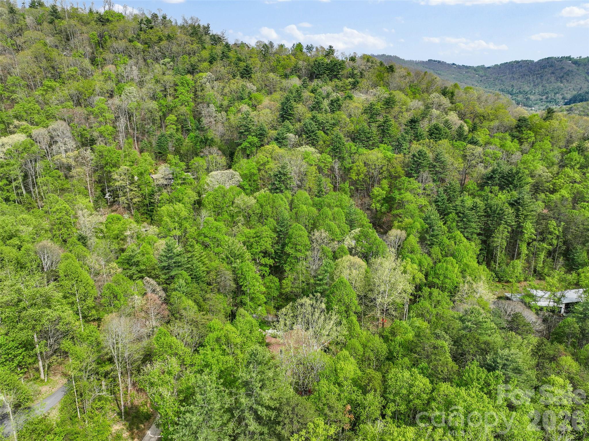 120 Carter Cove Road Asheville, NC 28804 - Photo 46 of 47