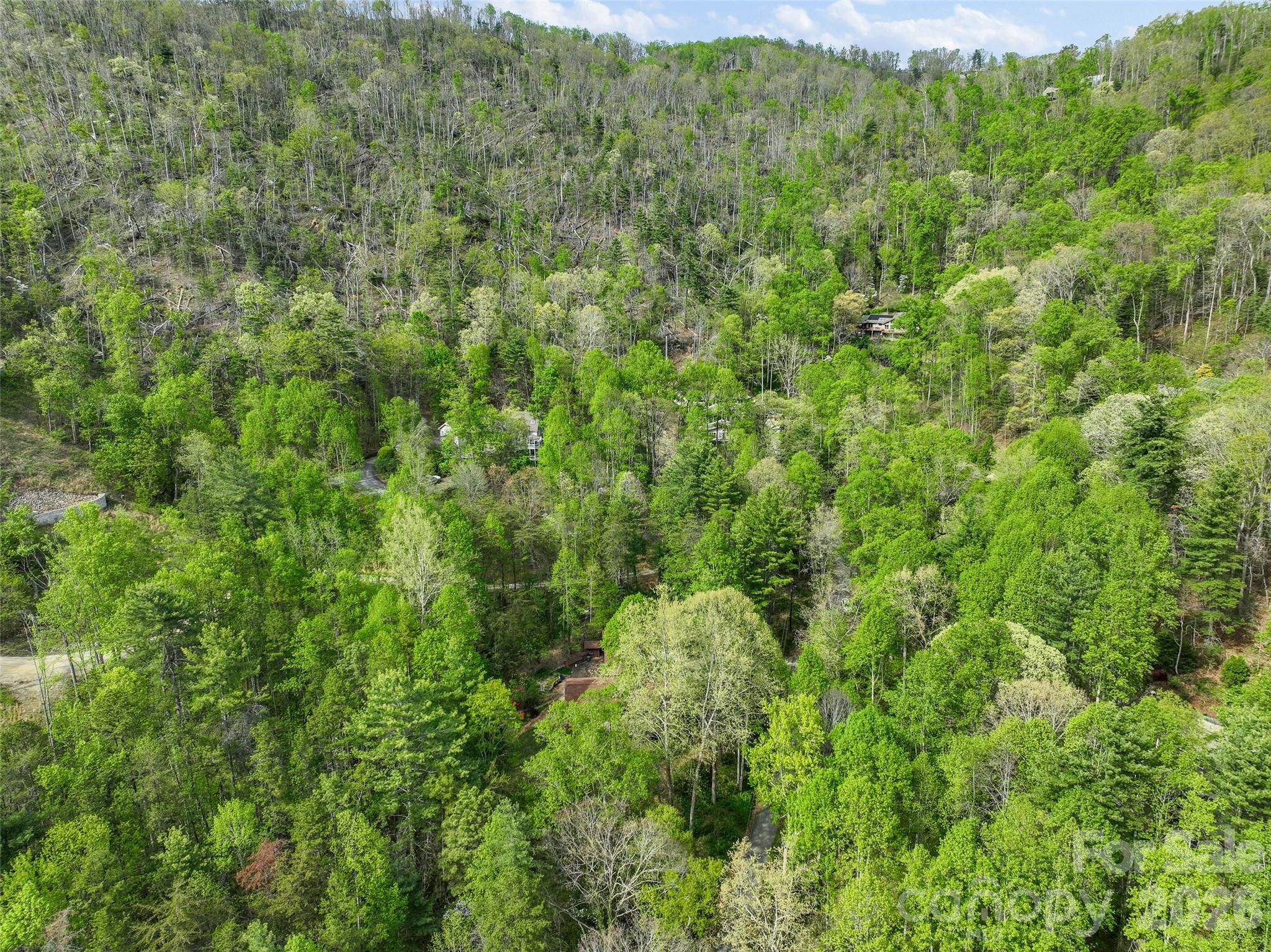 120 Carter Cove Road Asheville, NC 28804 - Photo 47 of 47