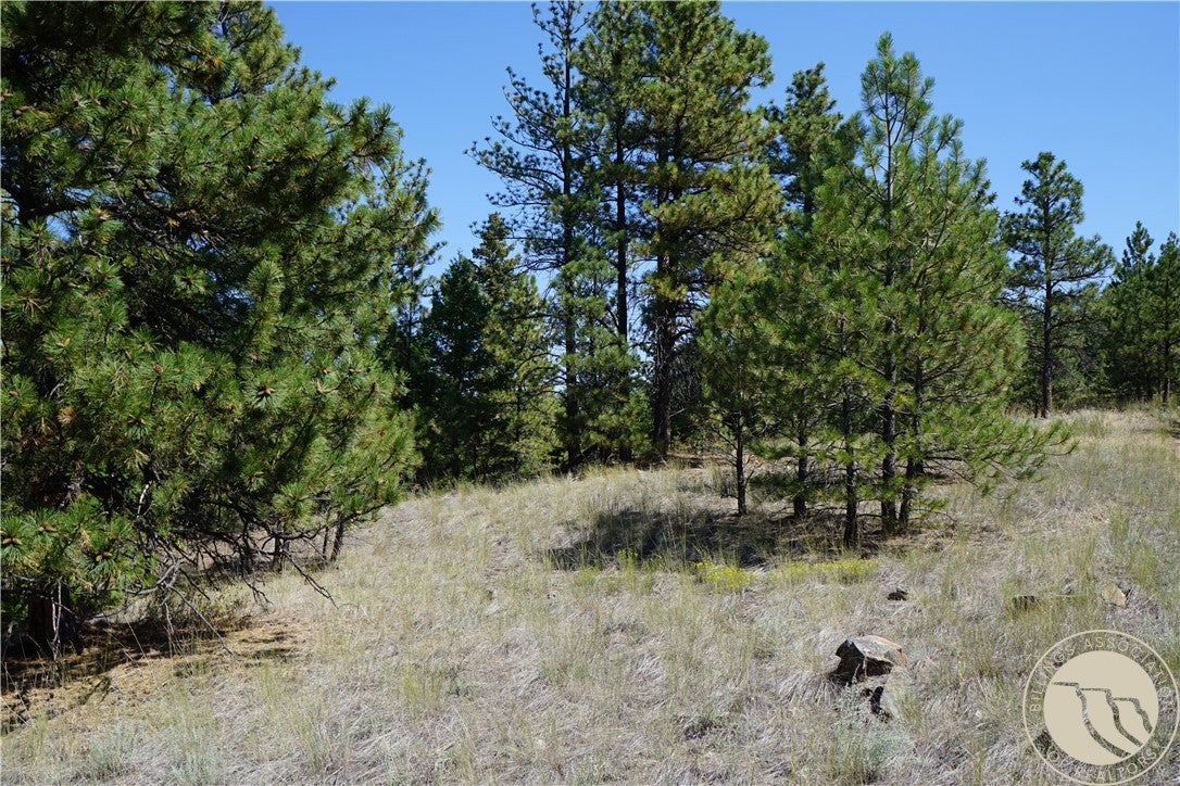 Tbd Ridge Crest Lane Cascade, MT 59421 - Photo 1 of 26 Gallery Image 1