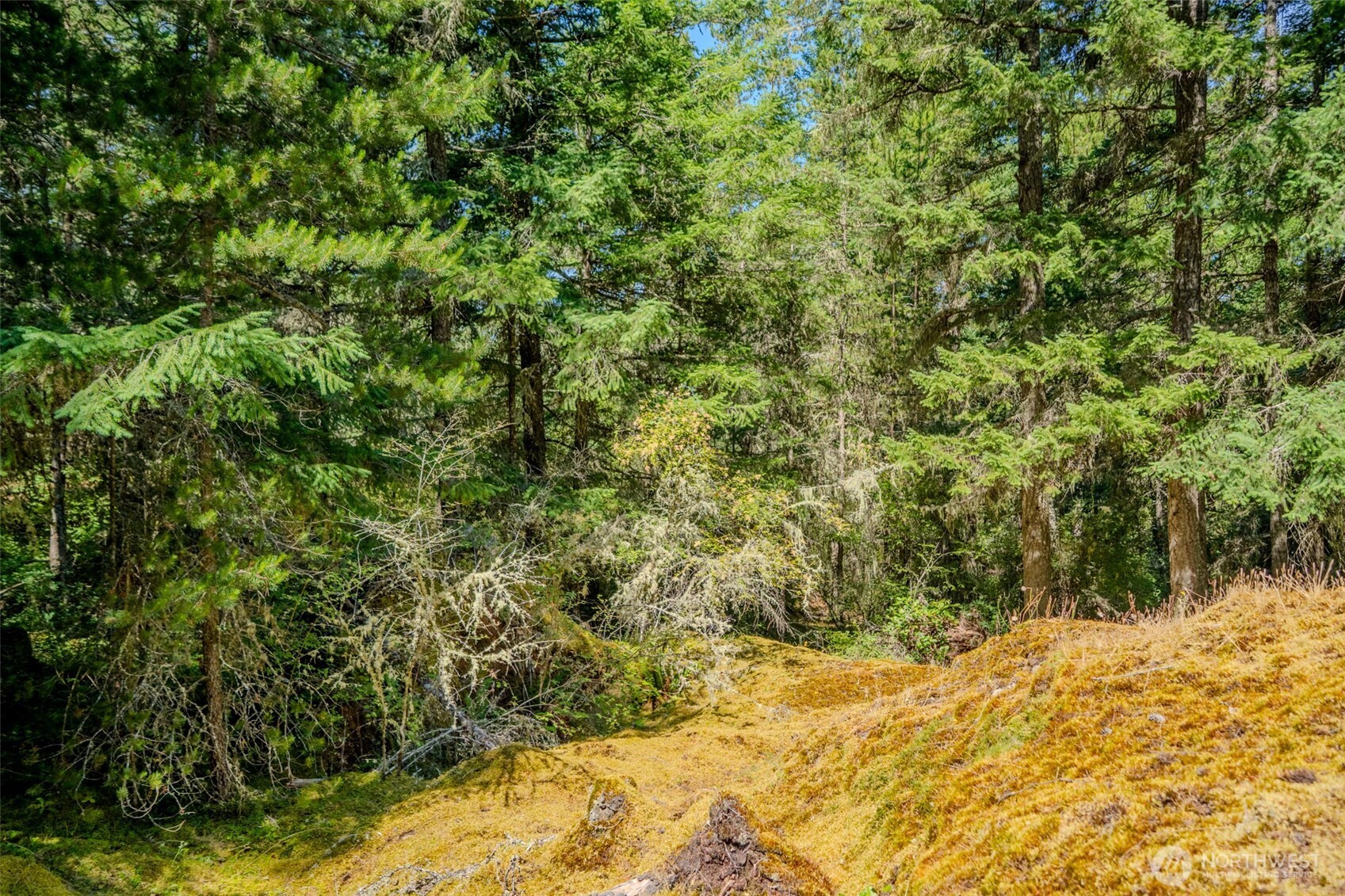 678 Swan Road Orcas Island, WA 98245 - Photo 29 of 39