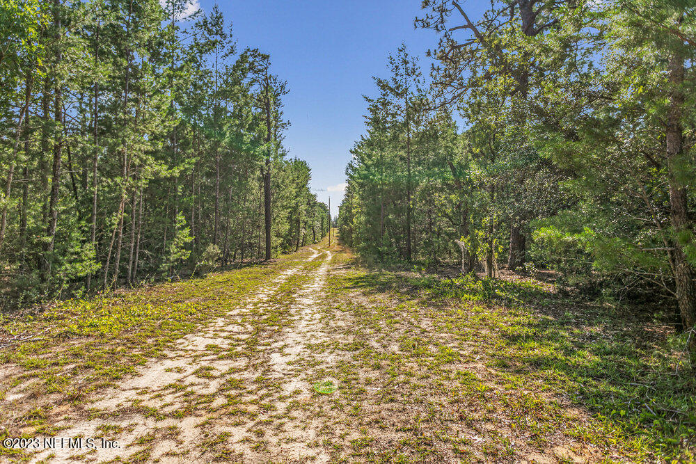 1379 State Rte 100 Melrose, FL 32666 - Photo 29 of 44 030_6f1a0034