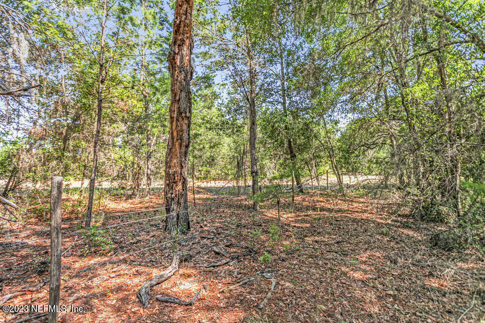 1379 State Rte 100 Melrose, FL 32666 - Photo 3 of 44 004_6f1a0003