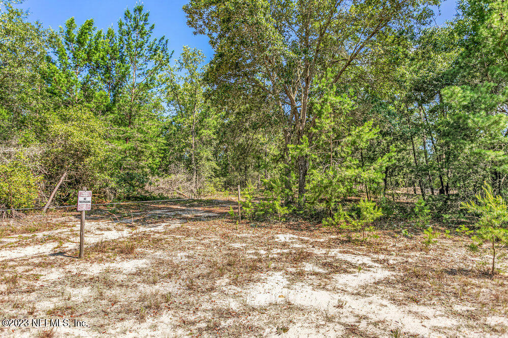 1379 State Rte 100 Melrose, FL 32666 - Photo 6 of 44 007_6f1a0006